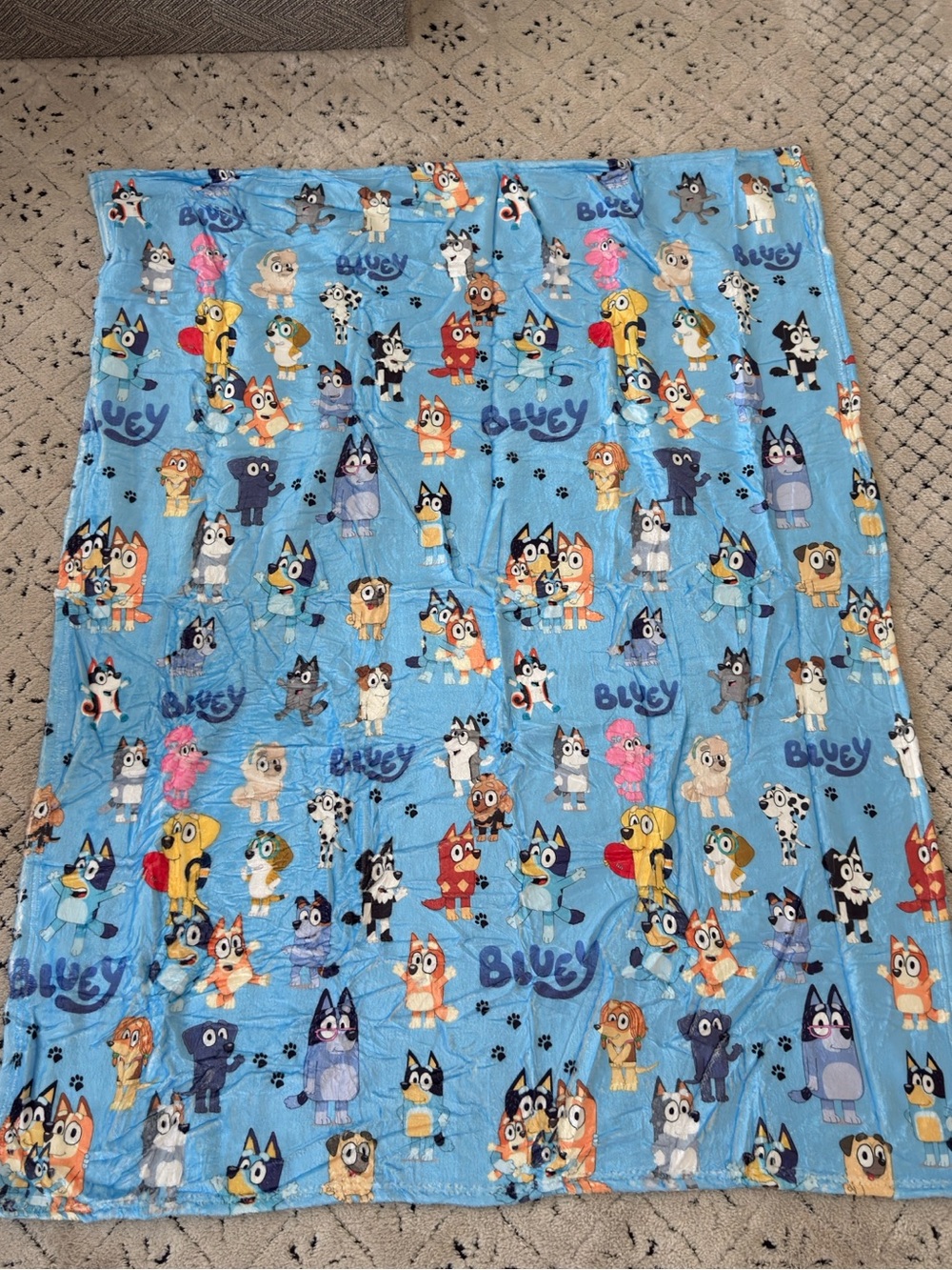 Bluey Throw blanket -small